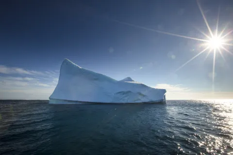 iceberg